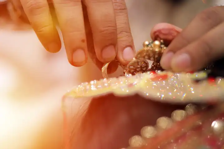 Wedding portrait highlights